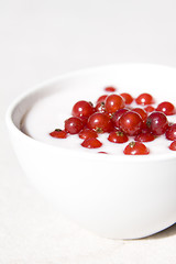 Image showing yogurt and red currant