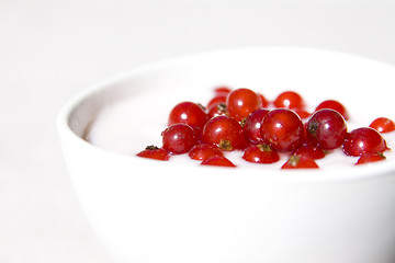 Image showing yogurt and red currant