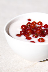 Image showing yogurt and red currant