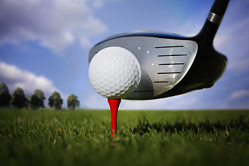 Image showing Golf club and ball in grass