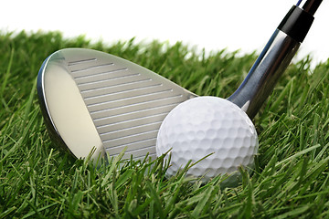 Image showing Golf ball in grass