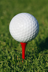 Image showing Golf ball in grass