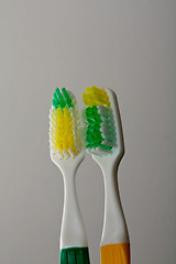 Image showing Tooth brushes