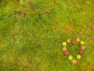 Image showing heart shaped flowers