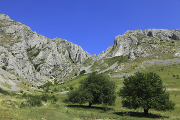 Image showing Landscape in Trascau Mountains