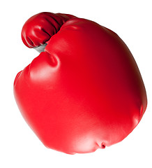 Image showing Throwing a punch