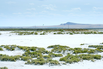 Image showing salty lake Baskunchak,Russia