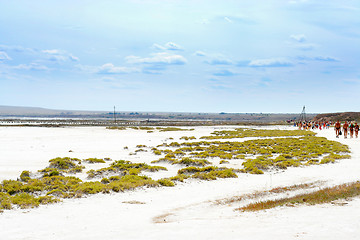 Image showing salty lake Baskunchak,Russia