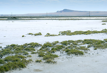 Image showing salty lake Baskunchak,Russia