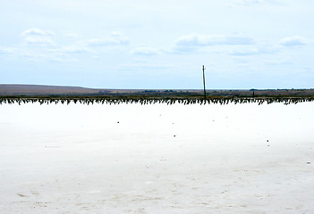 Image showing salty lake Baskunchak,Russia