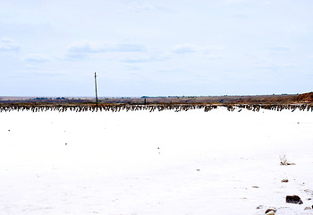 Image showing salty lake Baskunchak,Russia