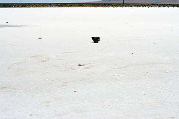 Image showing salty lake Baskunchak,Russia