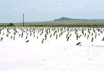 Image showing salty lake Baskunchak,Russia