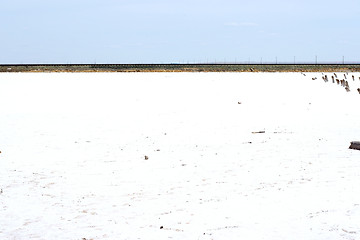 Image showing salty lake Baskunchak,Russia