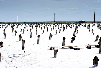 Image showing salty lake Baskunchak,Russia