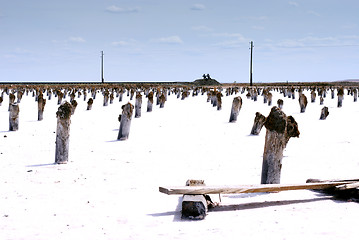 Image showing salty lake Baskunchak,Russia