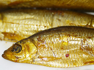 Image showing cured sprat