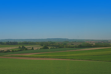 Image showing green country