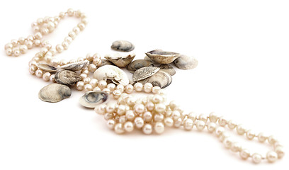 Image showing shells and pearls