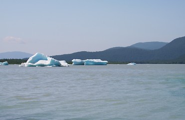 Image showing Icebergs in Lake