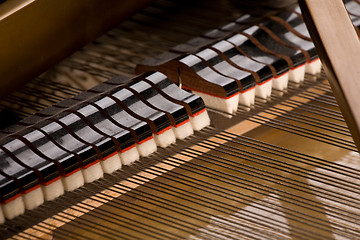 Image showing Into a piano