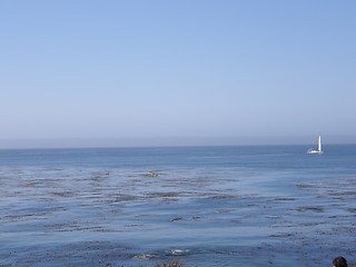 Image showing Carmel Monterey in California