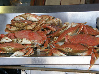 Image showing Crabs