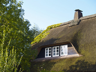 Image showing thatched roof