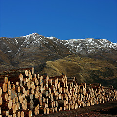 Image showing Lumber