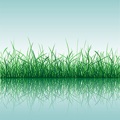 Image showing Grass