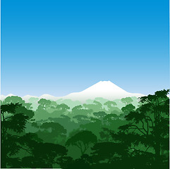 Image showing Forest Landscape