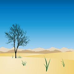 Image showing Desert Landscape