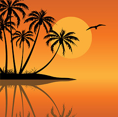 Image showing Tropical Landscape
