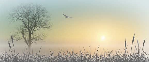 Image showing Misty Sunrise