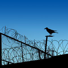 Image showing Barbwire