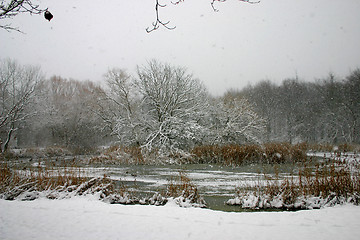 Image showing winter