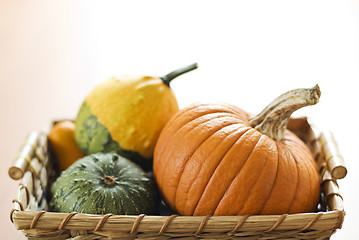 Image showing Pumpkin