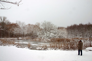 Image showing winter