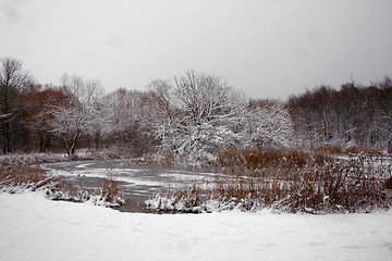 Image showing lake on winter