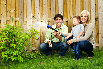 Image showing Family watering plant