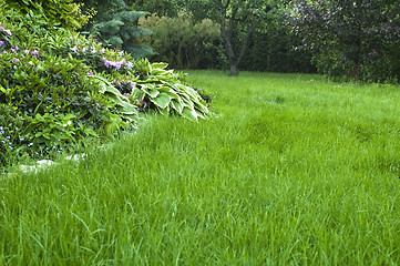 Image showing peaceful garden