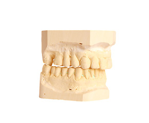 Image showing dental impression 4