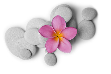 Image showing Attractive Pebbles and Flower