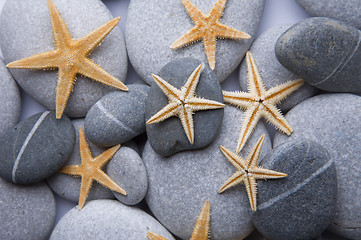 Image showing Starfish and Pebble Background