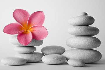 Image showing Stone Stack and Frangipani Flower