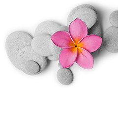 Image showing Attractive Pebbles and Flower