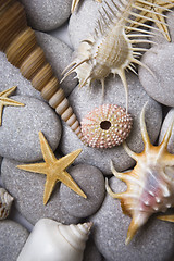 Image showing Attractive Pebbles and Seashells