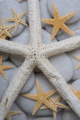 Image showing Starfish and Pebble Background