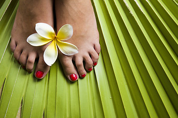 Image showing Tropical Footspa