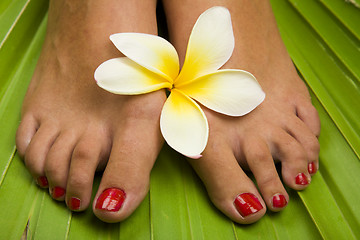 Image showing Tropical Footspa